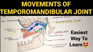 Movements of Temporomandibular Joint  TMJ  3 [upl. by Ayhtin]