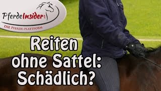 Reiten ohne Sattel Schädlich [upl. by Florry]