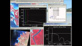 Assessing Spectral Signatures in ENVI Classic [upl. by Assennev]