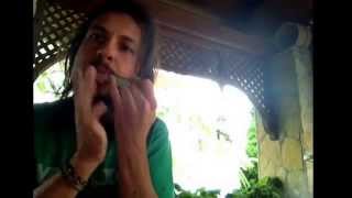 Jews harp techno sound [upl. by Attebasile]