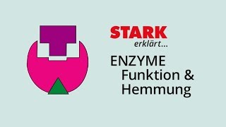 Enzymfunktion und Enzymhemmung  STARK erklärt [upl. by Dutchman798]