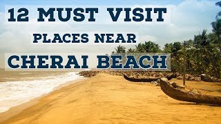 Top 12 Must Visit Places near Cherai Beach Kochi [upl. by Eirdua]