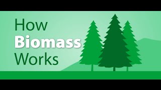 How Biomass works [upl. by Uchish]