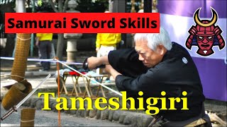 Samurai Sword Test Cutting  Tameshigiri [upl. by Cord444]