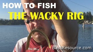 How to Fish a Wacky Rig for Bass  Bass Fishing [upl. by Bendicta]