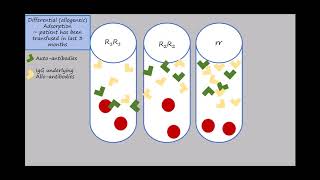 Adsorption Animation Updated Source [upl. by Ahsinuq297]