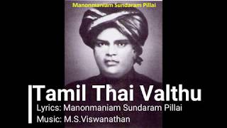 The Evolution of Tamil Nadu  History of Tamilnadu  dravidians  Eclectic [upl. by Lebasiram]