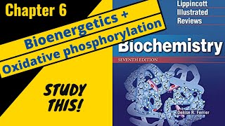 Lippincotts Biochemistry Review Chapter 6 Bioenergetics and Oxidative phosphorylation Study This [upl. by Donielle529]