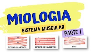 INTRODUÇÃO A MIOLOGIA VETERINÁRIA  Estude Veterinário [upl. by Zere]