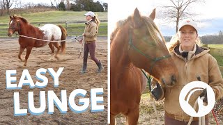 HOW TO TEACH A HORSE TO LUNGE 🐴 [upl. by Elberta18]