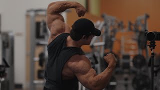 IFBB Pro Arm Workout [upl. by Ahsetal121]