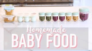 HOW TO MAKE BABY FOOD HOMEMADE PUREES  Angela Lanter [upl. by Netsreik]