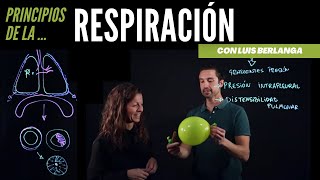 Ventilación pulmonar principios básicos de la respiración [upl. by Christan173]