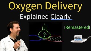 Oxygen Delivery amp Consumption Explained Clearly  Remastered [upl. by Dreher]