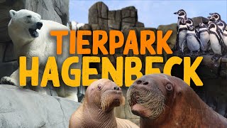 Tierpark Hagenbeck in Hamburg  ZooEindruck [upl. by Gerger137]