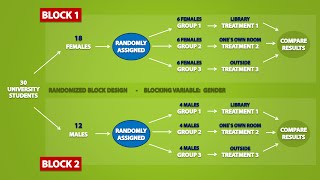 Types of Experimental Designs 33 [upl. by Ilegna]