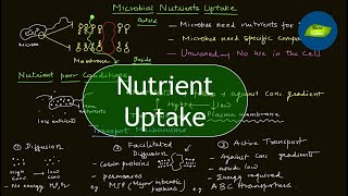 Nutrient Uptake  Microbial Nutrition  Microbiology  Basic Science Series [upl. by Annenn223]