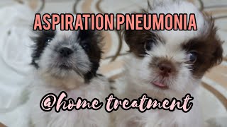 3 week old puppies w Aspiration Pneumonia  home treatment [upl. by Ytisahcal]