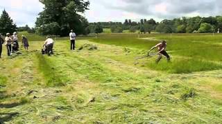 BCS mower vs scythe 2012 [upl. by Eryt]