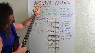 Bass Guitar For Beginners What Bassists Should Know [upl. by Gensmer]