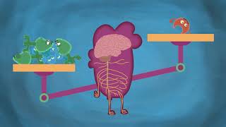 How Marijuana Affects Your Developing Brain [upl. by Hiltner461]