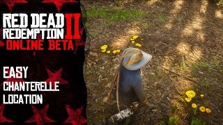 Easy chanterelle mushrooms locations in Rhodes  Red Dead Redemption 2 Online [upl. by Penn345]