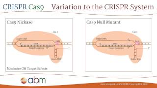 What is CRISPRCas9 [upl. by Hatch]