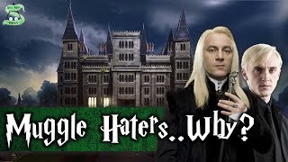 The Real Reason Why The Malfoys Hated Muggles and Muggleborns [upl. by Nerag]