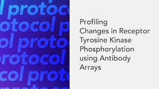 Profiling Changes in Receptor Tyrosine Kinase Phosphorylation using Antibody Arrays [upl. by Nove]