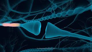 How does TMS Therapy Work [upl. by Byrd]