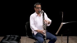 Instrument Bass Clarinet In Depth [upl. by Aknayirp]