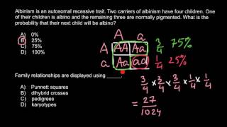 Genetic probability of albinism [upl. by Silvester]