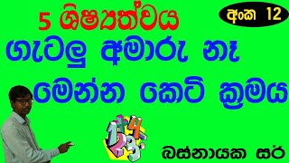 ගණිත ගැටලු හරි ලේසියි 12 පාඩම Grade 5 Scholarship Ganitha gatalu sinahala [upl. by Kinata142]