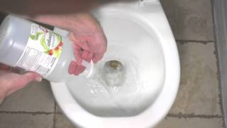 How to Remove Hard Water Buildup in Your Toilet Using Vinegar [upl. by Edson]