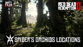 All Spider Orchid Locations Red Dead Redemption 2 RDR2 [upl. by Sheehan]