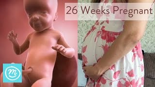 26 Weeks Pregnant What You Need To Know  Channel Mum [upl. by Asylla559]