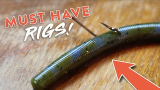 Bass Fishing 101 5 Bass Fishing Rigs You NEED to KNOW [upl. by Eciral385]