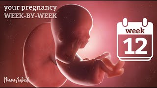 12 Weeks Pregnant  Natural Pregnancy WeekByWeek [upl. by Fira]