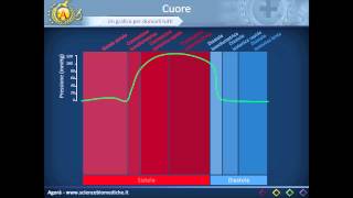 ECG Heart Rate Calculation  In 2 minutes  ECG Interpretation [upl. by Dita713]