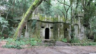 Un paseo por el bosque encantado de Aldán [upl. by Farra]