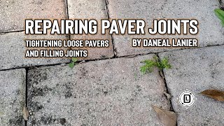 Repairing Paver Joints [upl. by Marlette518]