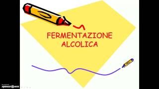 Fermentazione alcolica 20 [upl. by Callie]