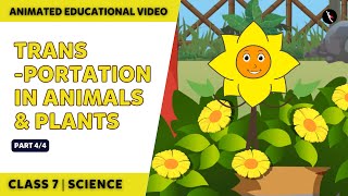 Transportation In Animals And Plants  NCERT Science Class 7 Chapter 11  Part 44  Class 7 [upl. by Eirallam]