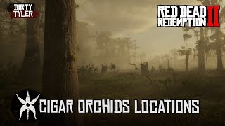 RDR2 All Cigar Orchid Locations Red Dead Redemption 2 [upl. by Leatri15]