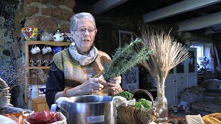 Captured by Colour Introduction to Natural Dyes [upl. by Fridell]