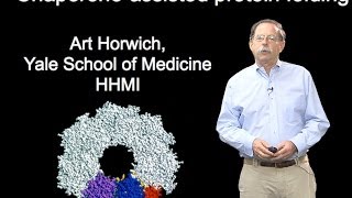 Arthur Horwich YaleHHMI Part 1B Chaperoneassisted protein folding [upl. by Esirehs]