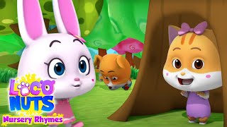 Peek A Boo Song  Hide and Seek Song  Nursery Rhymes amp Kids Songs with Loco Nuts [upl. by Winona545]