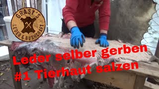 Leder selbst gerben 1 Tierhaut salzen [upl. by Ferne]