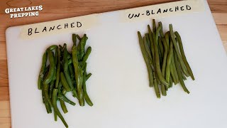 Freezing Green Beans Blanched vs Unblanched Comparison amp Taste Test [upl. by Nahtnamas77]