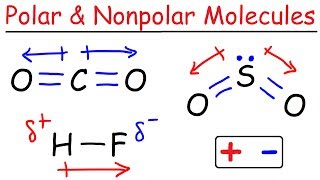 Polar and Nonpolar Molecules [upl. by Dalia470]